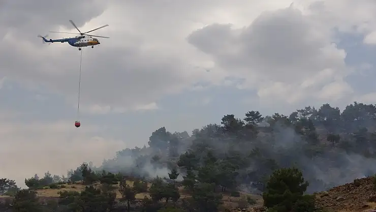 Orman yangınında 200 dönüm alan zarar gördü