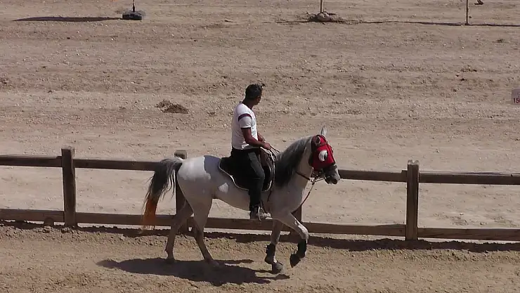 RAHVAN atlar Pazar günü Denizli ve Samsun'da