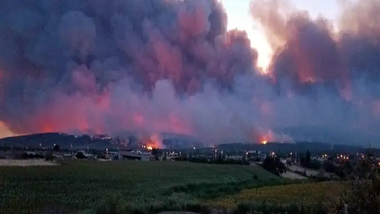 Şarköy'de Orman Yangını Alarmı