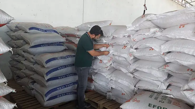 Tire'de Hayvan Yemi Denetimi: Üretim Noktalarından Numune Alındı