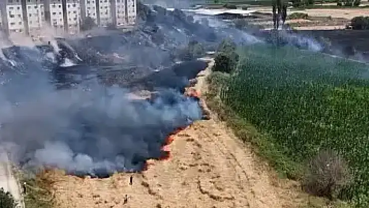 Tire'de TOKİ bölgesinde yangın: Alevler geniş alana yayıldı