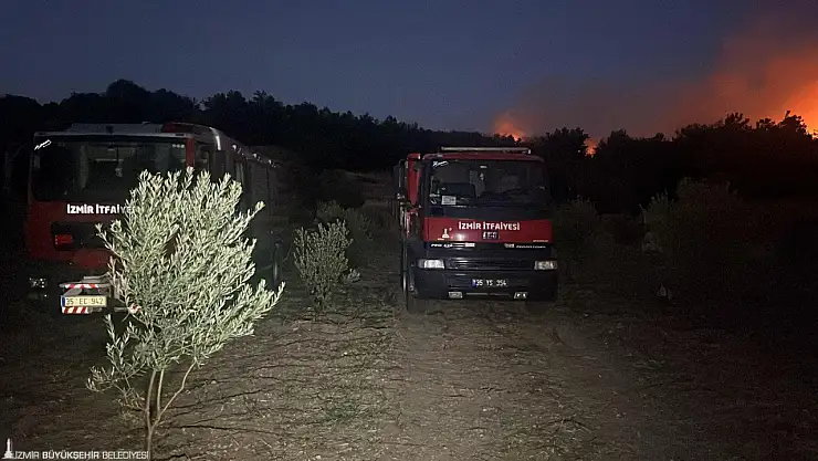 Urla'daki orman yangını kontrol altına alındı