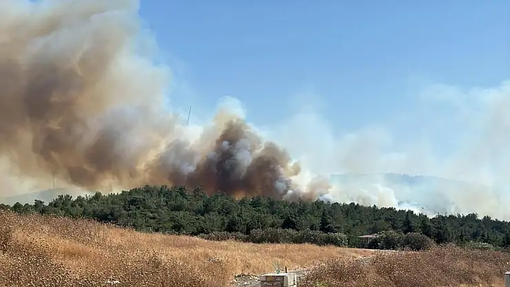 Urla Kekliktepe'de orman yangını çıktı