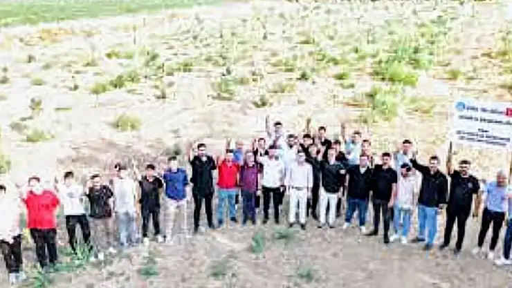 Zeytincilik Üretim Merkezi'ni kurdular