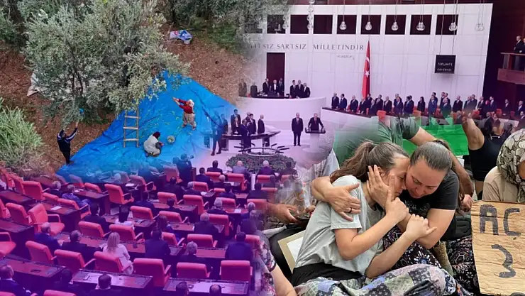 Zeytinliklerde madencilik tartışması büyüyor