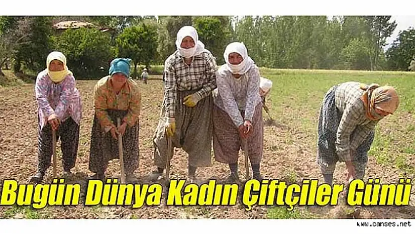 15 Ekim Dünya Kadın Çiftçiler Günü: Üretimin sessiz gücü kadınlar