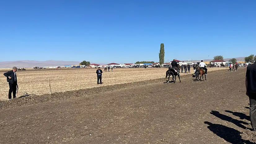 Arpaçay'da 4. Rahvan at şampiyonası coşkusu