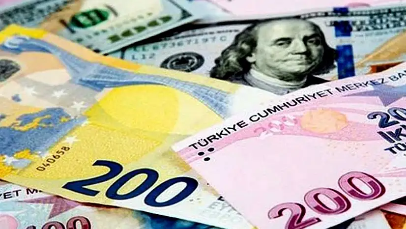 Banknotları yenileniyor: Kültür ve Doğa temalarıyla daha renkli ve güvenli