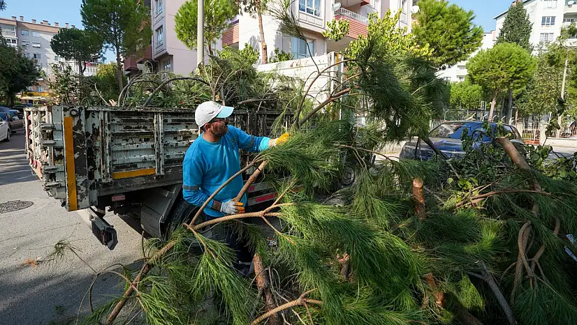 Çevre kirliliğine son: Bahçe atıkları artık adresten alınacak