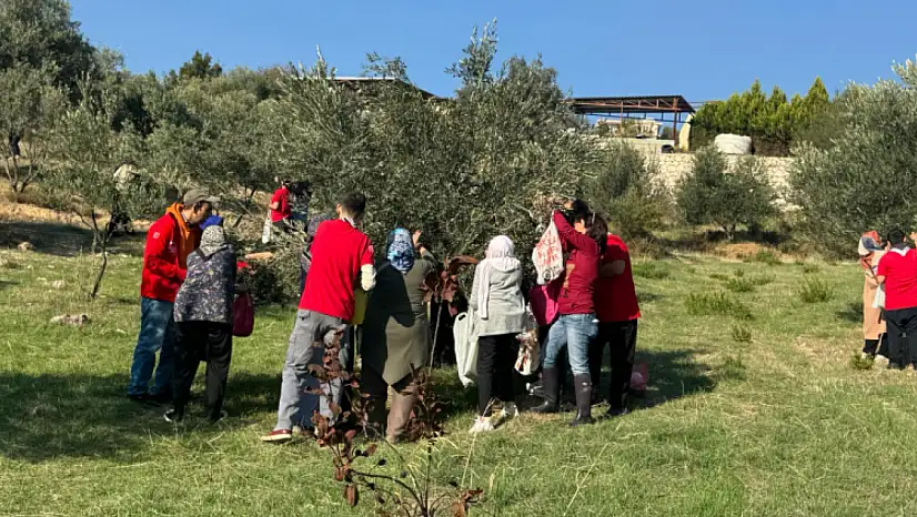 Engelli yurttaşlar İzmir'de zeytin hasadıyla bir araya geldi