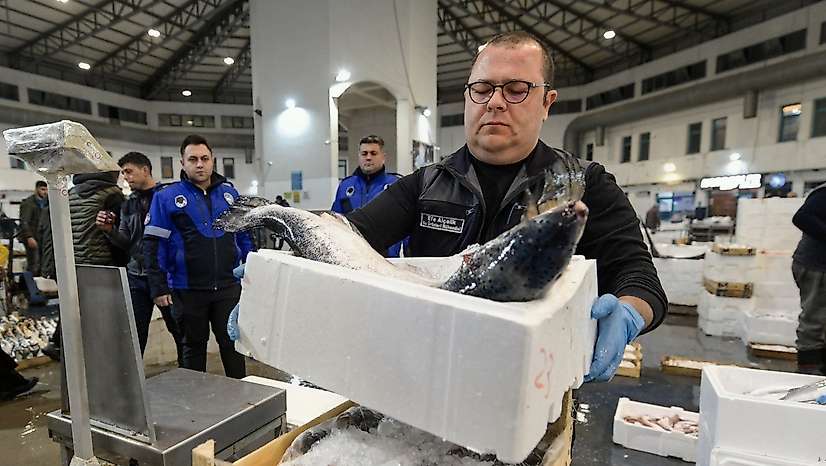 İzmir'de balık bereketi: Eylül ayında 9 bin ton balık işlem gördü