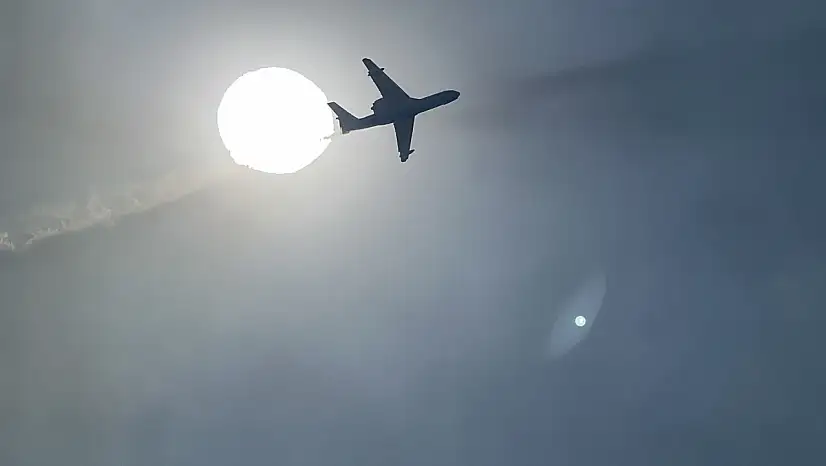 İzmir'deki orman yangınıyla ilgili 3 gözaltı