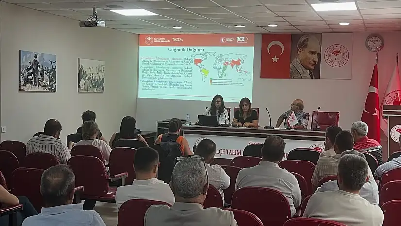 Ödemiş'te fidan üreticilerine turunçgil hastalıkları eğitimi