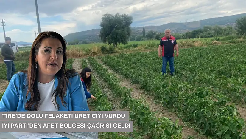 Tire'de dolu felaketi üreticiyi vurdu, İYİ Parti'den afet bölgesi çağrısı geldi