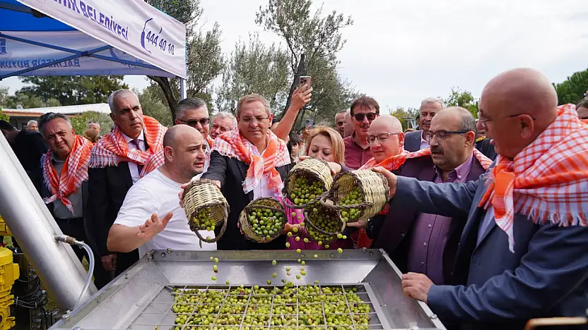 Ayvalık'ta zeytin ve turizmin buluşma noktası: 20. Ayvalık Uluslararası zeytin hasat ve turizm festivali başlıyor