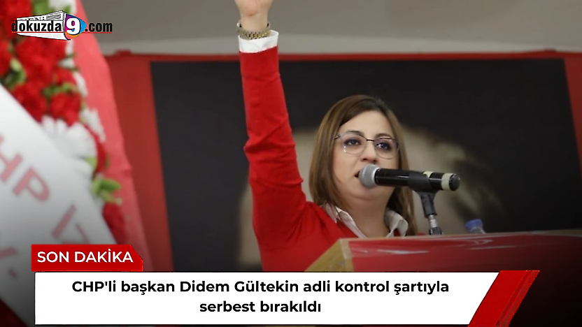 CHP'li başkan Didem Gültekin adli kontrol şartıyla serbest bırakıldı