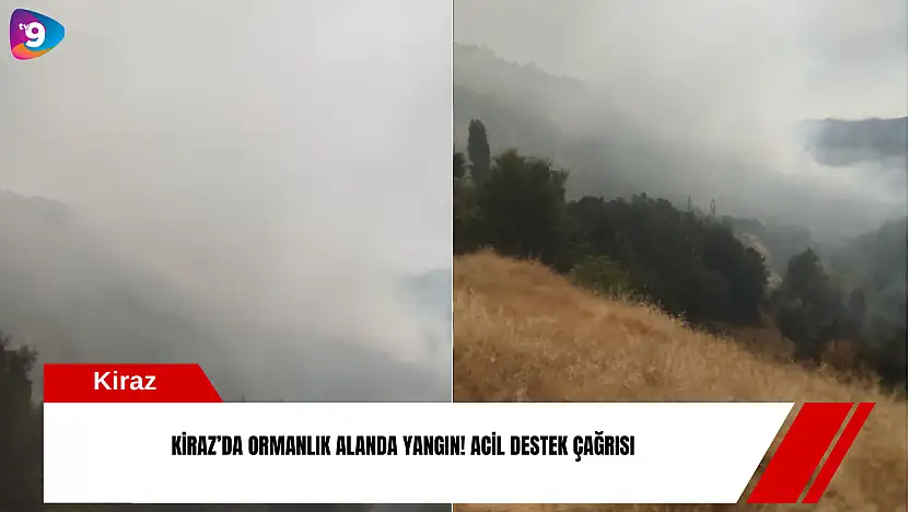 Kiraz'da ormanlık alanda yangın! Acil destek çağrısı