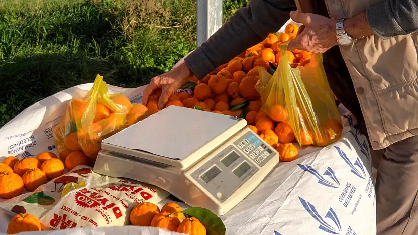 'Mandalinanı Tart, Parasını Kutusuna At' uygulaması başladı