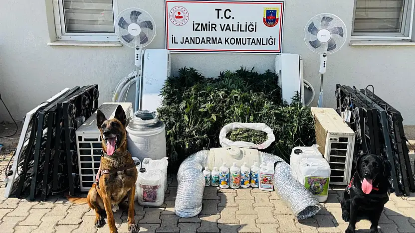 Menderes'te uyuşturucu operasyonu: 1 gözaltı
