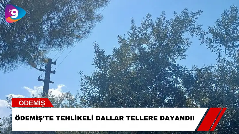 Ödemiş'te Tehlikeli Dallar Tellere Dayandı!