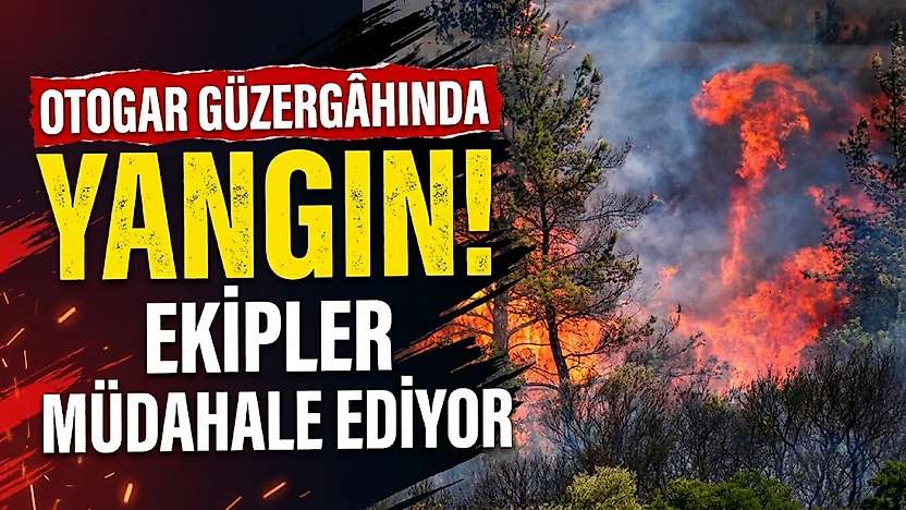 Otogar güzergâhında yangın: Ekipler müdahale etti