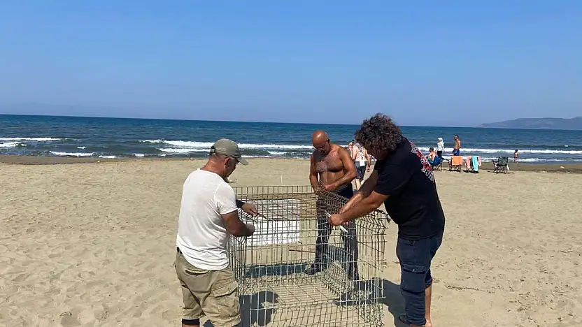 Pamucak Sahilinde Caretta Caretta Yuvası Koruma Altına Alındı