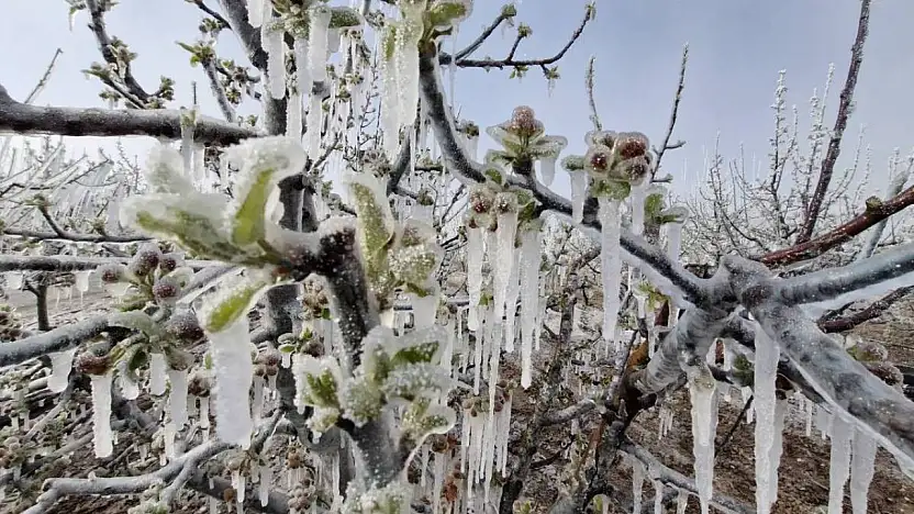 Soğuk hava dalgası tarım alanlarını etkileyecek