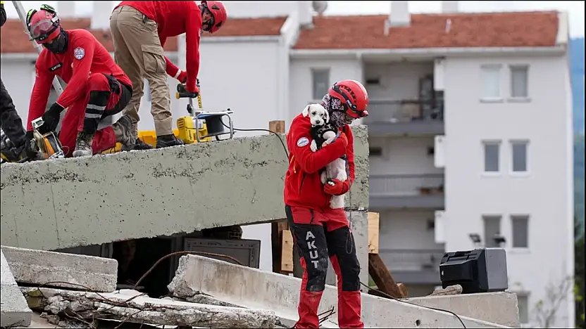 Torbalı'da 'Canımız Yanmasın' eğitimi başlıyor: 30 Belediyeye sertifikalı hayvan arama ve kurtarma eğitimi
