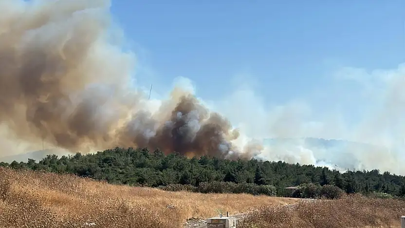 Urla Kekliktepe'de orman yangını çıktı