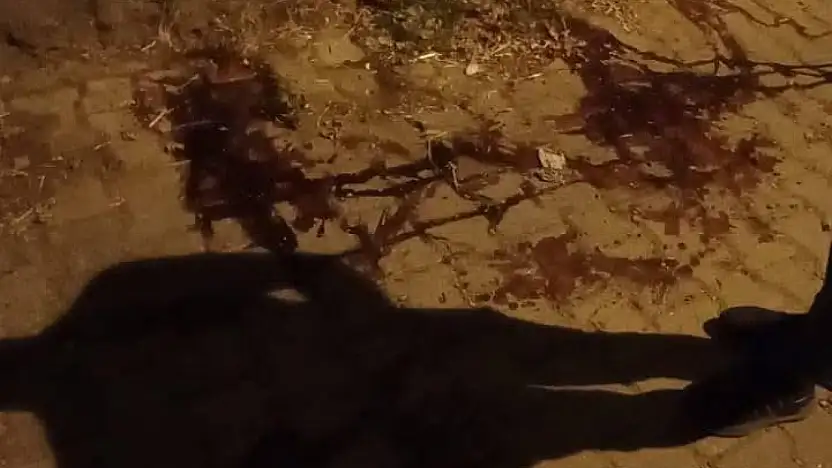 Yangın Gecesi Kan Aktı: Ödemiş'te Üç Kardeş Aynı Anda Vurularak Öldürüldü
