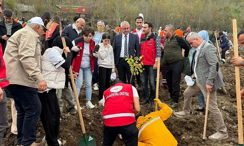 AKAF, milli ağaçlandırma gününde üç ilde fidan dikti