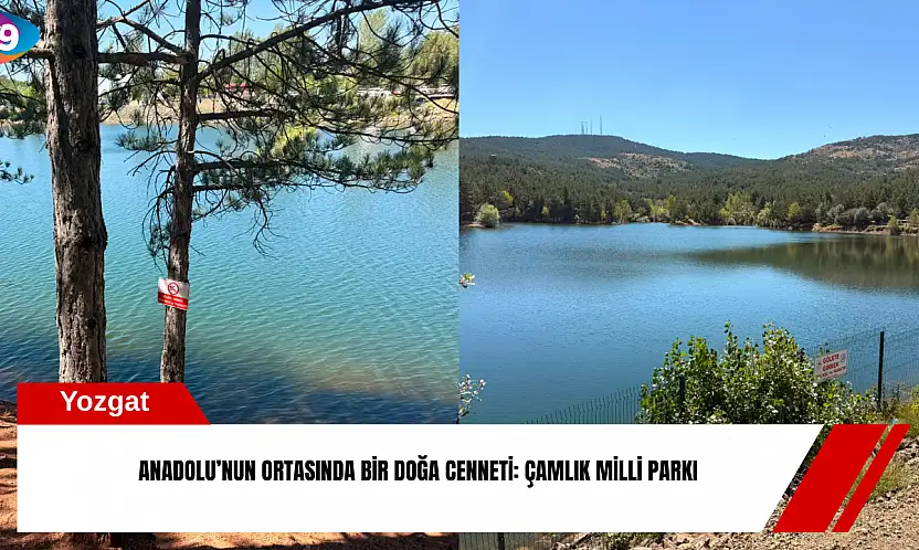 Anadolu'nun ortasında bir doğa cenneti: Çamlık Milli Parkı
