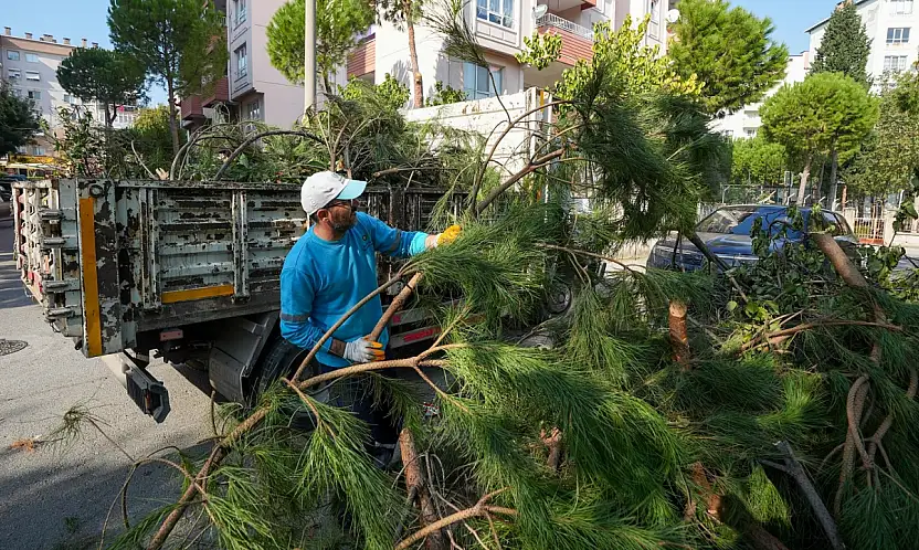 Çevre kirliliğine son: Bahçe atıkları artık adresten alınacak