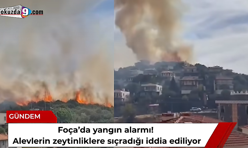 Foça'da yangın alarmı! Alevlerin zeytinliklere sıçradığı iddia ediliyor