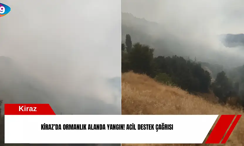 Kiraz'da ormanlık alanda yangın! Acil destek çağrısı