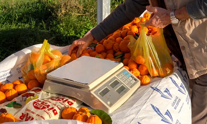 'Mandalinanı Tart, Parasını Kutusuna At' uygulaması başladı