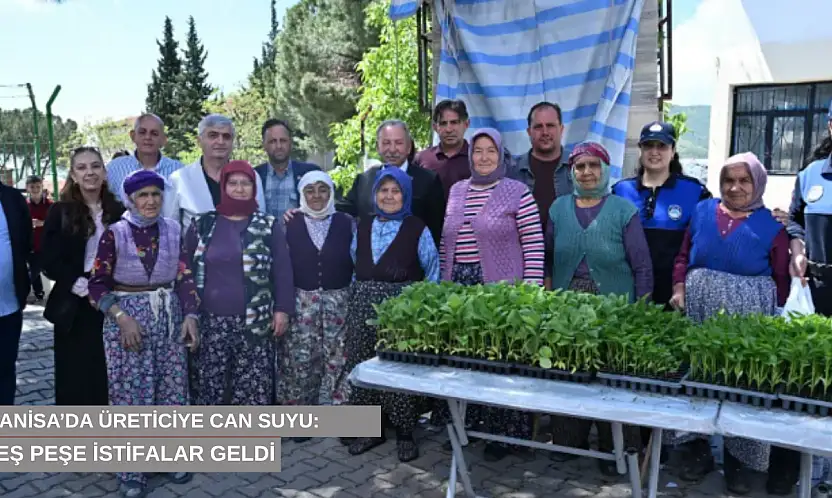 Manisa'da üreticiye can suyu: 34 bin fide toprakla buluştu