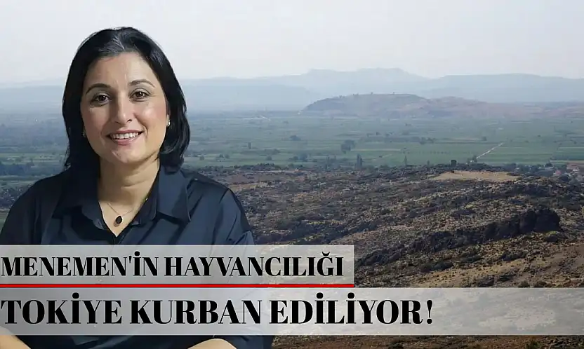 Menemen'in hayvancılığı TOKİ'ye kurban ediliyor...