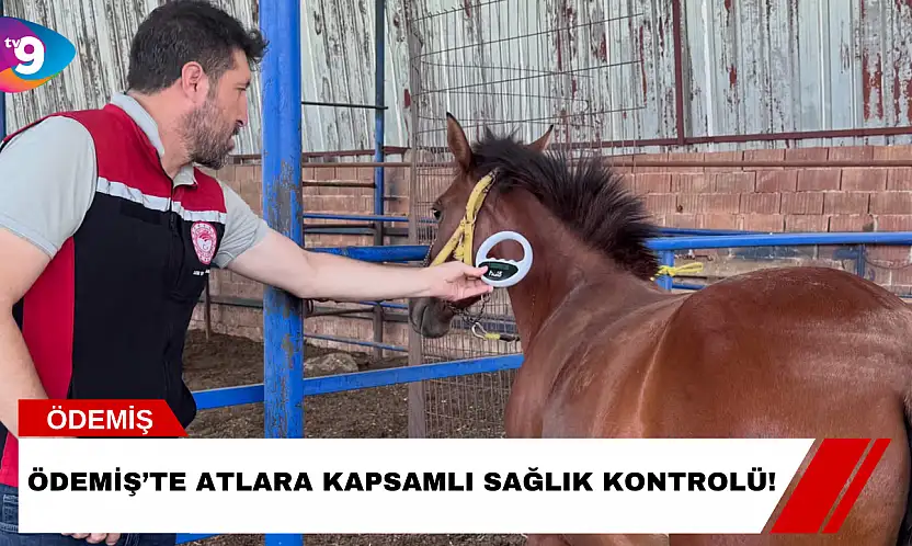 Ödemiş'te Atlara Kapsamlı Sağlık Kontrolü!