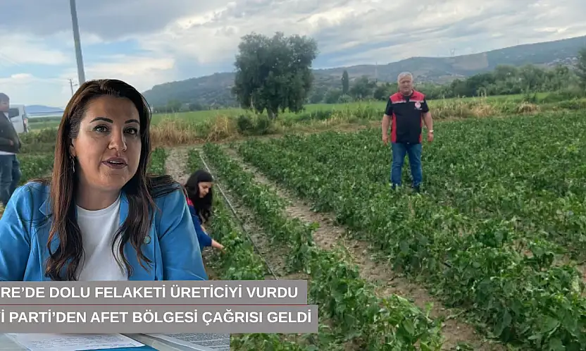 Tire'de dolu felaketi üreticiyi vurdu, İYİ Parti'den afet bölgesi çağrısı geldi