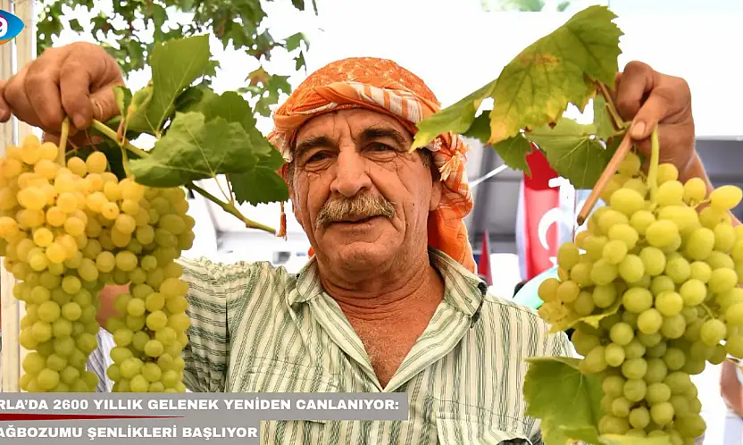 Urla'da 2600 yıllık gelenek yeniden canlanıyor: Bağbozumu Şenlikleri başlıyor