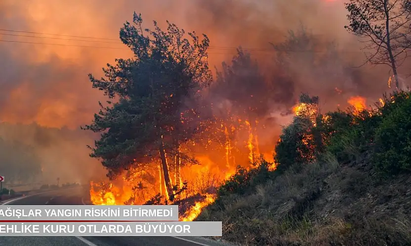 Uyarı geldi: Yağışlar yangın riskini bitirmedi, tehlike kuru otlarda büyüyor